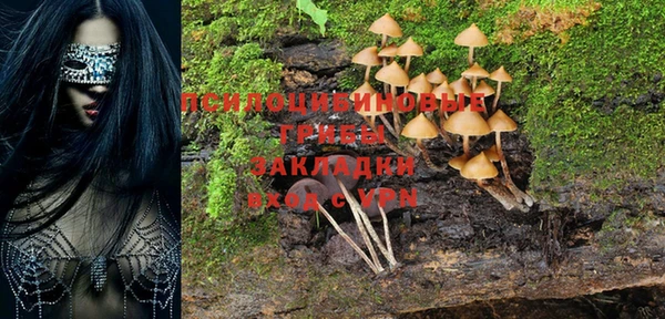 меф Куйбышев