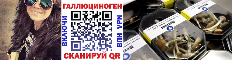Псилоцибиновые грибы Psilocybine cubensis  Купить  Злынка 