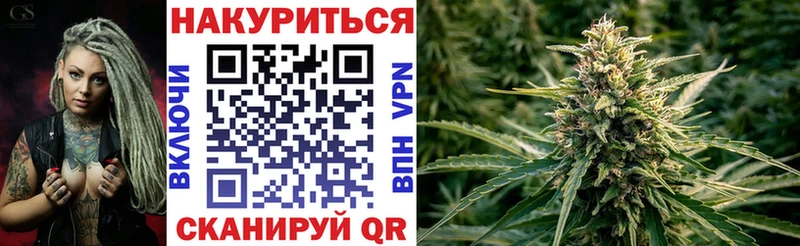 Купить где  Злынка  Бошки марихуана Bruce Banner 